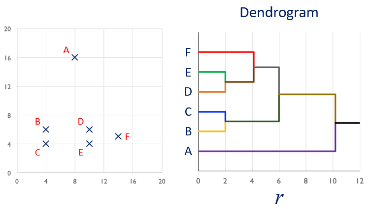 roseplot