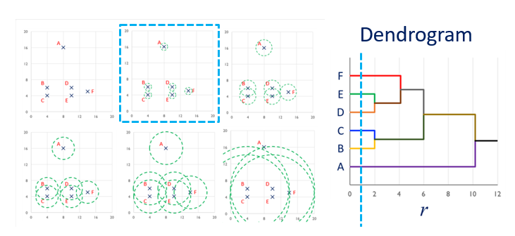 roseplot