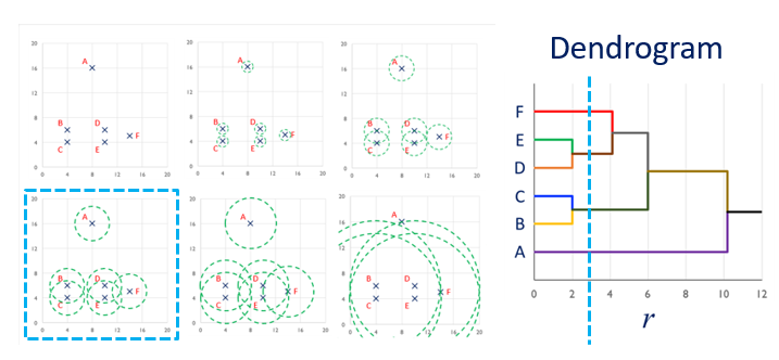 roseplot