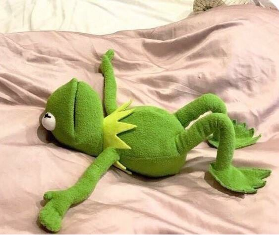 Kermit takes time to relax before learning linear algebra.
